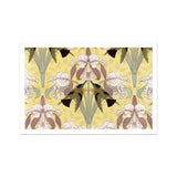 Oiseaux-mouches et Orchidées - Maurice Pillard Verneuil Print / Canvas Floral Pattern Iris Flowers White Brown Green Yellow, Verneuil’s,