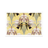 Oiseaux-mouches et Orchidées - Maurice Pillard Verneuil Druck / Leinwand, 17x12’’ / A3 / Kunst / Ungerahmt / Weißer Rand, Poster Drucke &