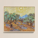 Framed Reproduction Vincent Van Gogh’s Olive Trees Yellow Gogh, Sun-drenched Provençal Groves, Post-impressionist Print