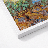 Framed Reproduction Vincent Van Gogh’s ?Olive Trees” Sleek Gogh, Sun-drenched Provençal Groves, Post-impressionist Print