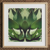 Open Wide - Tirage d’art op art d’agave succulente / Toile, 12x12’’ / 31x31cm / Cadre naturel / Passe-partout, Affiches, impressions et œuvres d’art visuel, Toby Leon