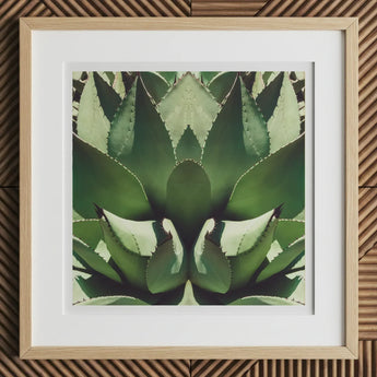 Open Wide - Succulent Agave Op Art Print, 12x12’’ / 31x31cm / Natural Frame / 2’’ Matboard, Framed Abstract Agave Plant Artwork White Mat
