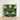 Framed Botanical Print Symmetrical Mirrored Design Vibrant Green Agave’s Kaleidoscopic Allure, Verdant Vision Quest, Phantasmagoria