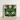 Framed Botanical Print Symmetrical Mirrored Design Deep Green Agave’s Kaleidoscopic Allure, Verdant Vision Quest, Phantasmagoria