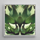 Open Wide - Succulent Agave Op Art Print / Canvas Framed Square Symmetrical Mirrored Close-up Vibrant Agave’s Kaleidoscopic Allure, Verdant
