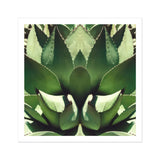 Open Wide - Succulent Agave Op Art Print / Canvas Sharp-edged Green Plant Leaves Arranged Symmetrical Pattern Agave’s Kaleidoscopic Allure,