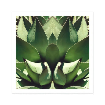 Open Wide - Succulent Agave Op Art Print / Canvas Sharp-edged Green Plant Leaves Arranged Symmetrical Pattern Agave’s Kaleidoscopic Allure,