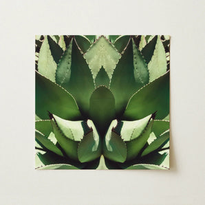 Open Wide - Succulent Agave Op Art Print / Canvas Square-framed Symmetrical Mirrored Close-up Plant Agave’s Kaleidoscopic Allure, Verdant