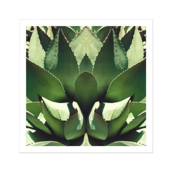Open Wide - Succulent Agave Op Art Print, Sharp-edged Green Agave Plant Leaves Arranged Symmetrical Pattern