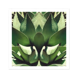 Open Wide - Tirage d’art op art d’agave succulente / Toile, Affiches, impressions et œuvres d’art visuel, Toby Leon