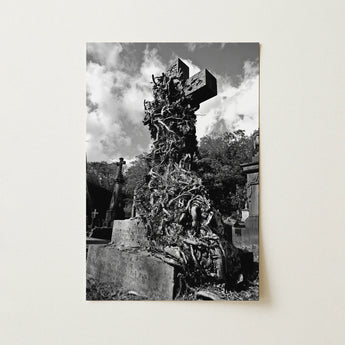 Black-and-white Photograph Weathered Stone Cross Entwined Gnarled Roots Overgrown Tombstone, Begins, Low-angle Lens Tips, Victorian, Gothic