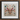 Peachy Queen - Alien Insect Taxonomy Art Print, 12x12’’ / 31x31cm / Black Frame / 2’’ Matboard, Framed Intricate Insect Artwork Pastel