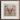 Peachy Queen - Alien Insect Taxonomy Art Print, 12x12’’ / 31x31cm / White Frame / 2’’ Matboard, Symmetrical Artwork Stylized Insect