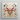 Peachy Queen - Alien Insect Taxonomy Framed Canvas, 12x12’’ / 31x31cm / White Floating Frame, Intricate Insect Assemblage Square Frame