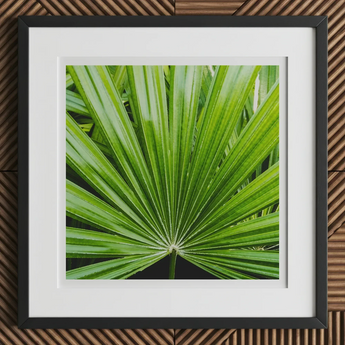 Peacocky - Koh Chang Palm Frond Art Print, 12x12’’ / 31x31cm / Black Frame / 2’’ Matboard, Framed Print Vibrant Green Palm Leaf
