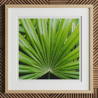 Peacocky - Koh Chang Palm Frond Art Print, 12x12’’ / 31x31cm / Natural Frame / 2’’ Matboard, Framed Print Vibrant Green Palm Leaf