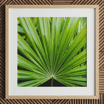 Peacocky - Stampa d’arte di fronda di palma di Koh Chang / Tela, 12x12’’ / 31x31cm / Cornice naturale / Passe-partout, Poster, stampe e opere d’arte visiva, Toby Leon