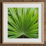 Peacocky - Stampa d’arte di fronda di palma di Koh Chang / Tela, 12x12’’ / 31x31cm / Cornice naturale / Passe-partout, Poster, stampe e opere d’arte visiva, Toby Leon