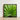 Framed Photograph Vibrant Green Palm Leaf Fronds Encased Thailand’s Emerald Oasis, Koh Chang, Frond Photography