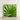 Framed Photograph Vibrant Green Palm Frond Leaf Segments Thailand’s Emerald Oasis, Koh Chang, Photography