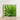 Square-framed Photograph Vibrant Green Palm Frond Leaf Segments Thailand’s Emerald Oasis, Koh Chang, Photography