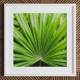 Peacocky - Koh Chang Palm Frond Art Print / Canvas Framed Photograph Vibrant Green Leaf Segments Thailand’s Emerald Oasis, Photography
