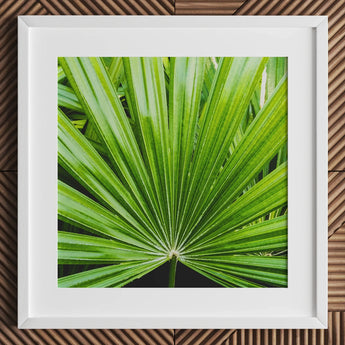 Peacocky - Koh Chang Palm Frond Art Print / Canvas Framed Photograph Vibrant Green Leaf Segments Thailand’s Emerald Oasis, Photography