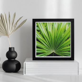 Peacocky - Koh Chang Palm Frond Art Print / Canvas Framed Photograph Vibrant Green Leaf Thailand’s Emerald Oasis, Photography Prints