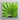 Framed Square Print Vibrant Green Palm Frond Textured Thailand’s Emerald Oasis, Koh Chang, Photography