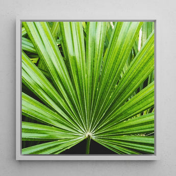 Peacocky - Koh Chang Palm Frond Art Print / Canvas Framed Square Vibrant Green Textured Thailand’s Emerald Oasis, Photography Prints