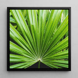 Peacocky - Koh Chang Palm Frond Art Print / Canvas Framed Square Vibrant Green Thailand’s Emerald Oasis, Photography Prints