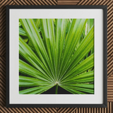 Peacocky - Koh Chang Palm Frond Art Print / Canvas Framed Print Vibrant Green Palm Frond Leaf Segments Thailand’s Emerald Oasis, Koh Chang