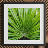Peacocky - Koh Chang Palm Frond Art Print / Canvas Framed Vibrant Green Leaf Segments Thailand’s Emerald Oasis, Photography Prints