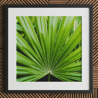 Peacocky - Koh Chang Palm Frond Art Print / Canvas Framed Vibrant Green Leaf Segments Thailand’s Emerald Oasis, Photography Prints