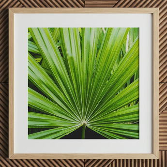 Peacocky - Koh Chang Palm Frond Art Print / Canvas Square-framed Botanical Vibrant Green Textured Thailand’s Emerald Oasis, Photography