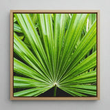 Peacocky - Koh Chang Palm Frond Art Print / Canvas Square-framed Vibrant Green Leaf Thailand’s Emerald Oasis, Photography Prints