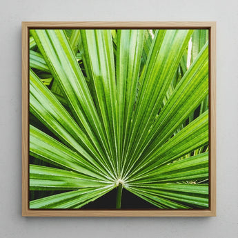 Peacocky - Koh Chang Palm Frond Art Print / Canvas Square-framed Vibrant Green Leaf Thailand’s Emerald Oasis, Photography Prints