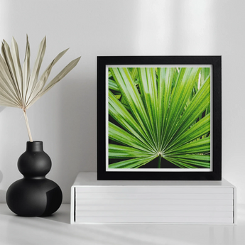Peacocky - Koh Chang Palm Frond Art Print, Framed Photograph Vibrant Green Palm Leaf