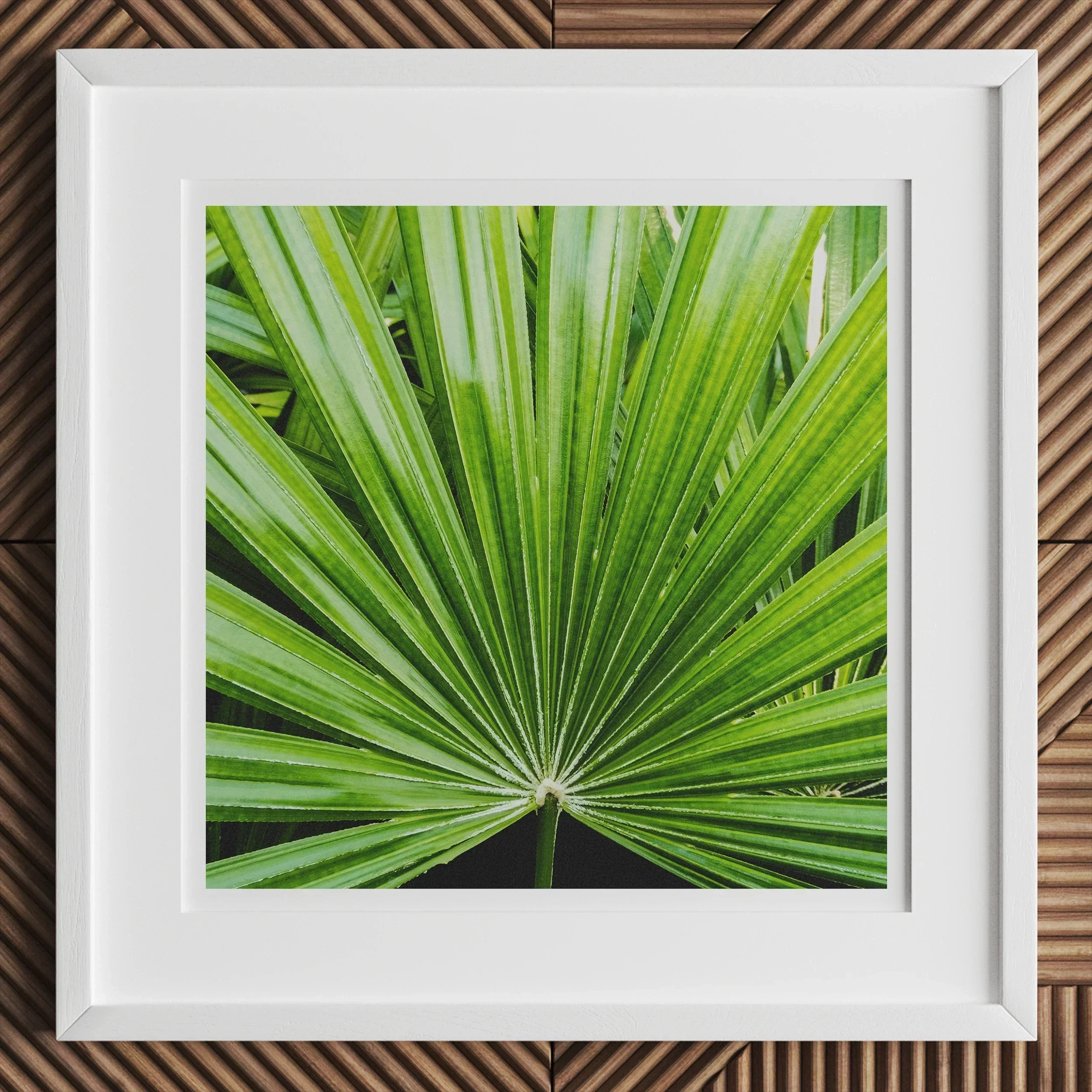 Peacocky Koh Chang Palm Frond Art Print, Framed Photograph Vibrant Green Palm Leaf Fronds