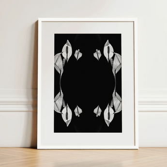 Pearly Whites - Koh Chang Peace Lilies Art Print / Canvas, 12x16’’ / 31x41cm / White Frame / Matboard, Posters Prints & Visual Artwork,
