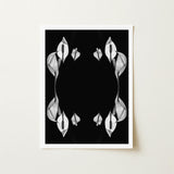 Pearly Whites - Koh Chang Peace Lilies Art Print / Canvas Black-and-white Framed Symmetrical Arrangements White Lily Rorschach,