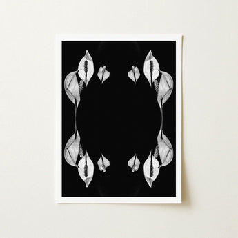 Pearly Whites - Koh Chang Peace Lilies Art Print / Canvas Black-and-white Framed Symmetrical Arrangements White Lily Rorschach,