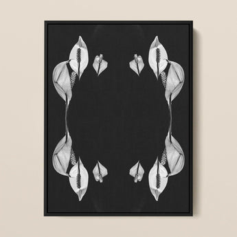 Pearly Whites - Koh Chang Peace Lilies Art Print / Canvas Black-framed Artwork Symmetrical Monochrome White Calla Arranged Rorschach,