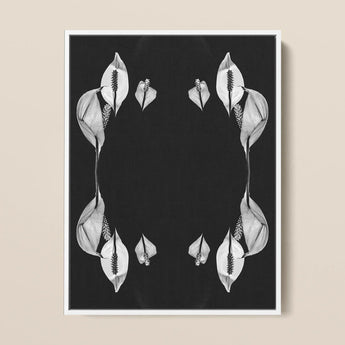 Pearly Whites - Koh Chang Peace Lilies Art Print / Canvas Black-and-white Framed Artwork Symmetrical Arrangements Lily Flowers Rorschach,