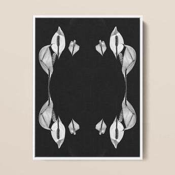 Pearly Whites - Koh Chang Peace Lilies Art Print / Canvas Black-and-white Framed Artwork Symmetrical Arrangements Peace Lily Flowers Koh