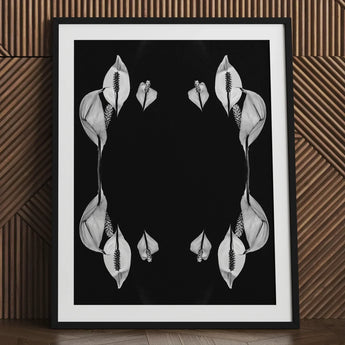 Pearly Whites - Koh Chang Peace Lilies Art Print / Canvas Black-and-white Framed Symmetrical Arrangements Lily Flowers Rorschach,