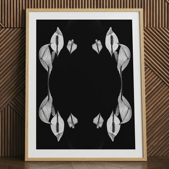 Pearly Whites - Koh Chang Peace Lilies Art Print / Canvas Black-and-white Framed Symmetrical White Lily Blooms Rorschach, Metamorphose,