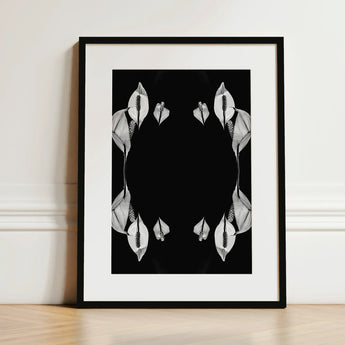 Pearly Whites - Koh Chang Peace Lilies Art Print / Canvas Black-and-white Framed Symmetrical White Lily Blooms Rorschach, Metamorphose,