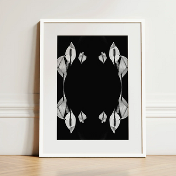 Pearly Whites - Koh Chang Peace Lilies Art Print / Canvas Black-and-white Framed Art Print Symmetrical White Peace Lily Koh Chang