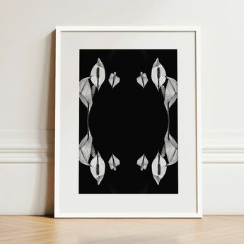 Pearly Whites - Koh Chang Peace Lilies Art Print / Canvas Black-and-white Framed Symmetrical White Lily Rorschach, Metamorphose,